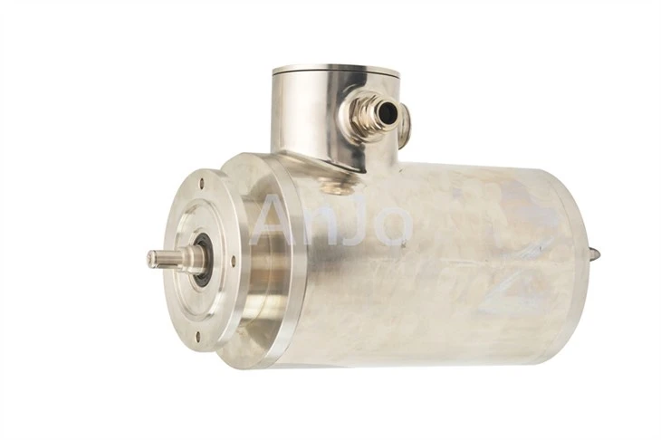 IP69K Motor