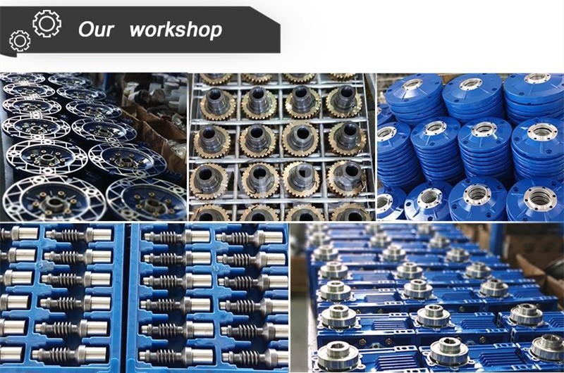 Worm gear reducer Worm gear reducer