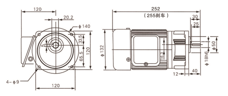 gear motor single phase gear motor single phase