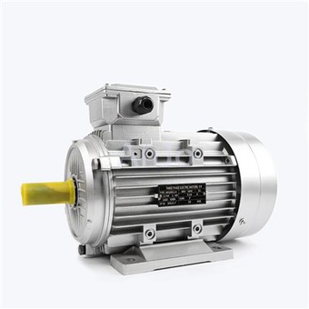 1hp Three Phase Motor
