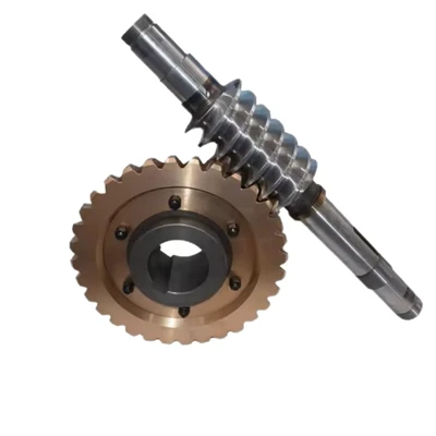 Worm Gear Drive