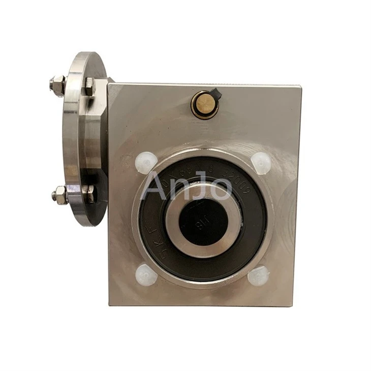 Stainless Steel Gear Motor