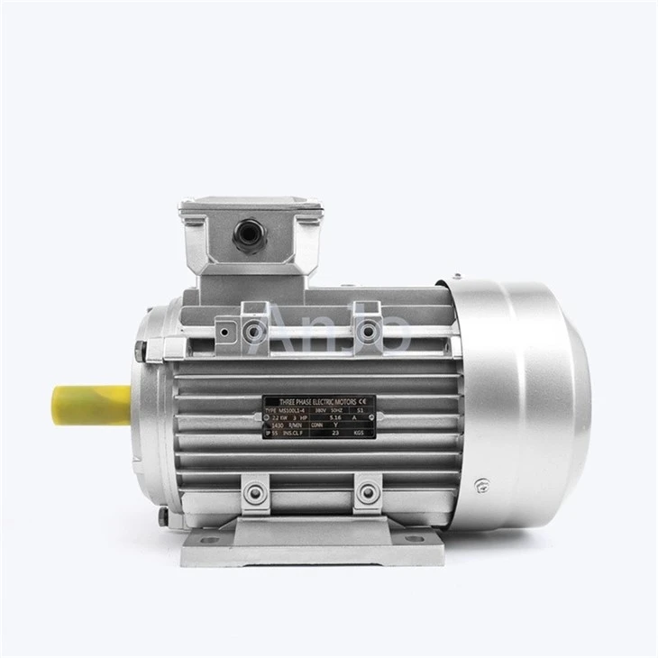 Three Phase Squirrel Cage Induction Motor price